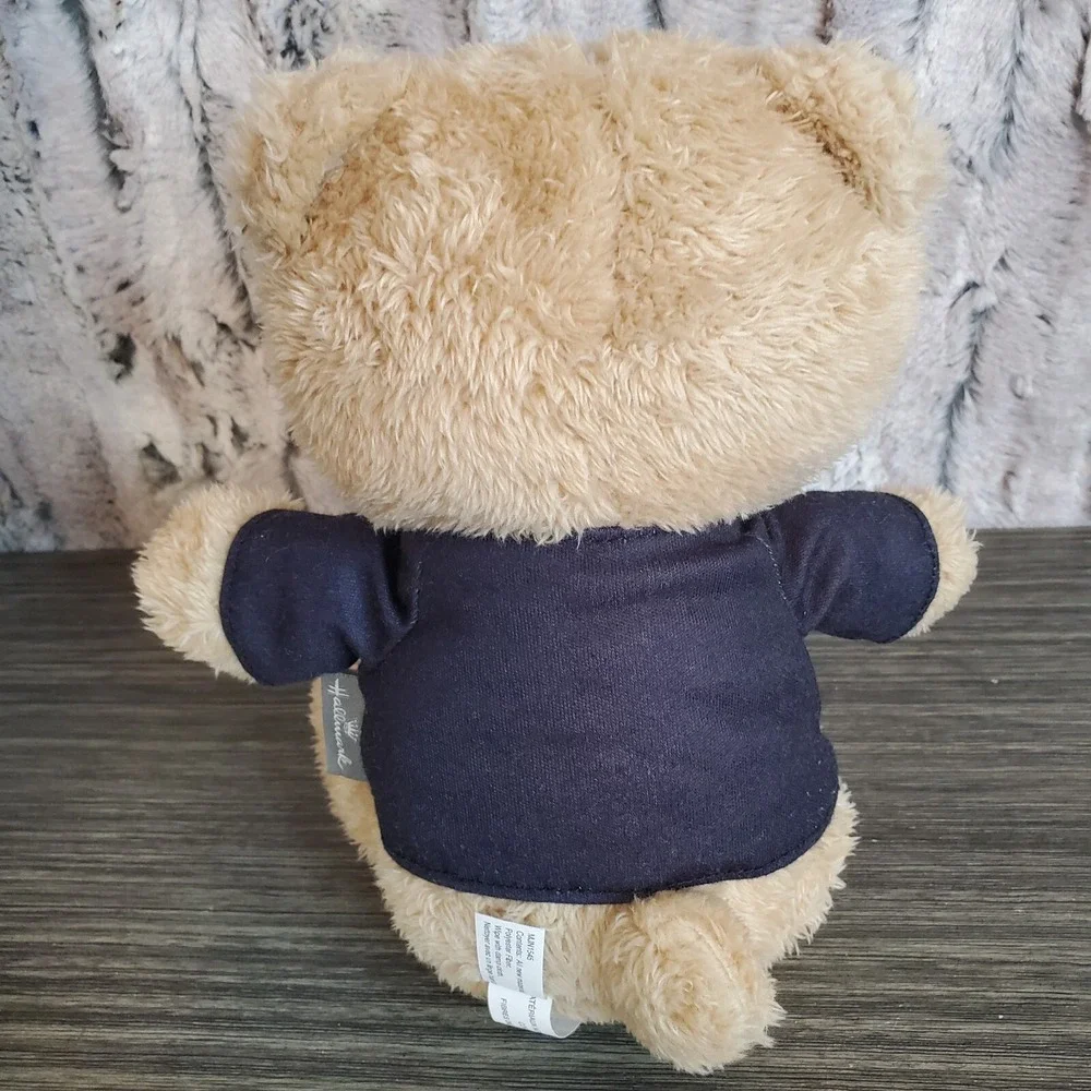 Hallmark Trick-or-Treat Brown Teddy Bear 8